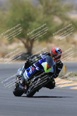 media/May-14-2023-SoCal Trackdays (Sun) [[024eb53b40]]/Turn 5 Tree of Life (1125am)/